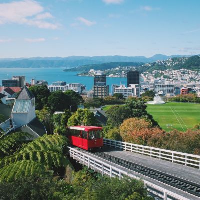 Wellington Marathon 2022