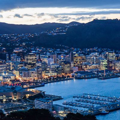 Wellington Marathon 2021